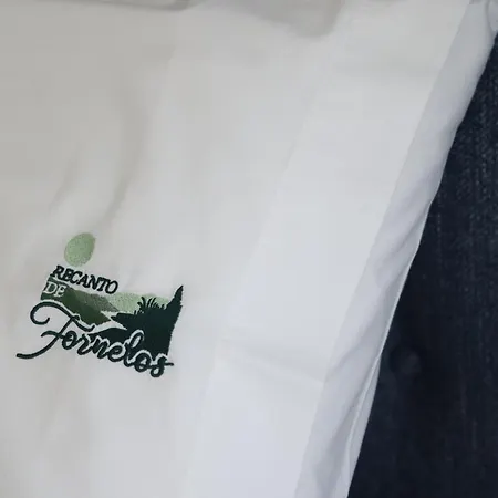 Recanto De Fornelos, - Ate 10 Pax *