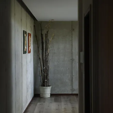 Recanto De Fornelos, - Ate 10 Pax Geres