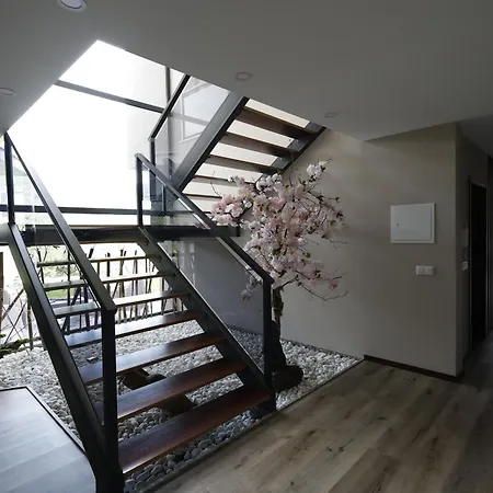 Recanto De Fornelos, - Ate 10 Pax Villa