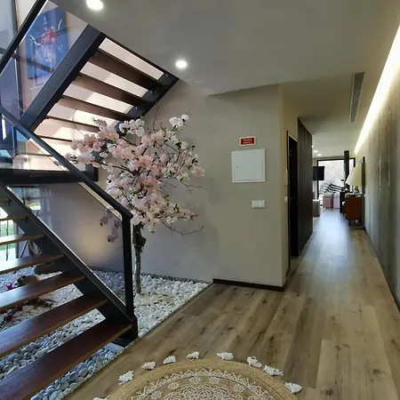 Recanto De Fornelos, - Ate 10 Pax Villa