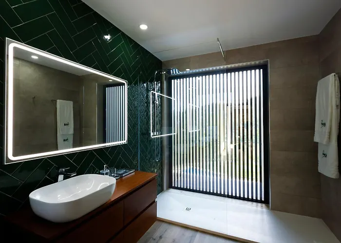 Recanto De Fornelos, - Ate 10 Pax Geres