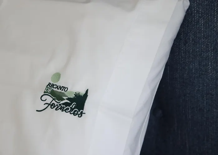 Recanto De Fornelos, - Ate 10 Pax *