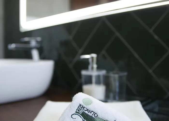 Recanto De Fornelos, - Ate 10 Pax Villa