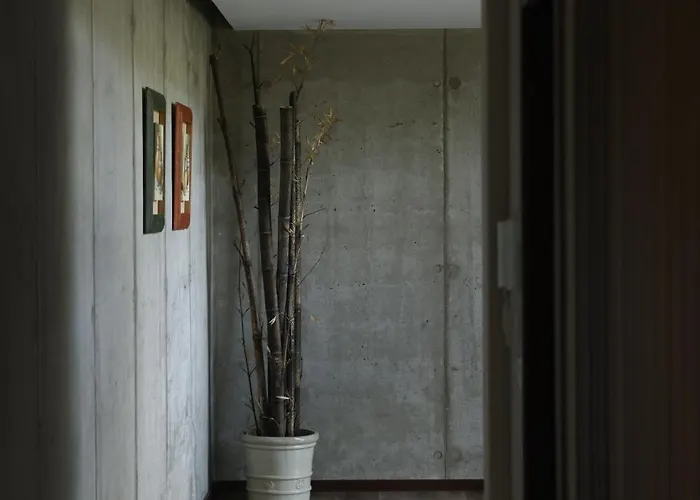 Recanto De Fornelos, - Ate 10 Pax Geres